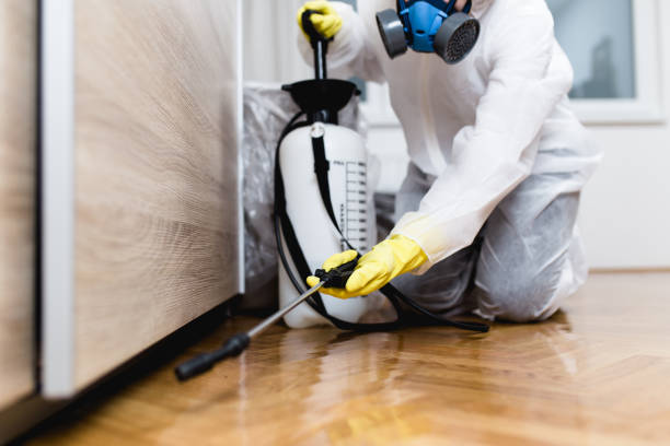 Best Pest Prevention Services  in Vinings, GA