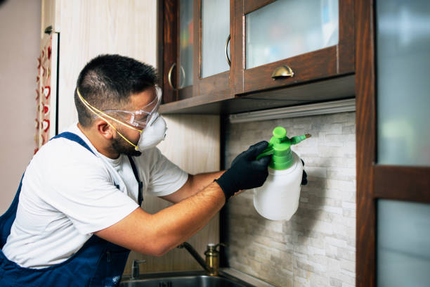 Best Exterminator Services  in Vinings, GA