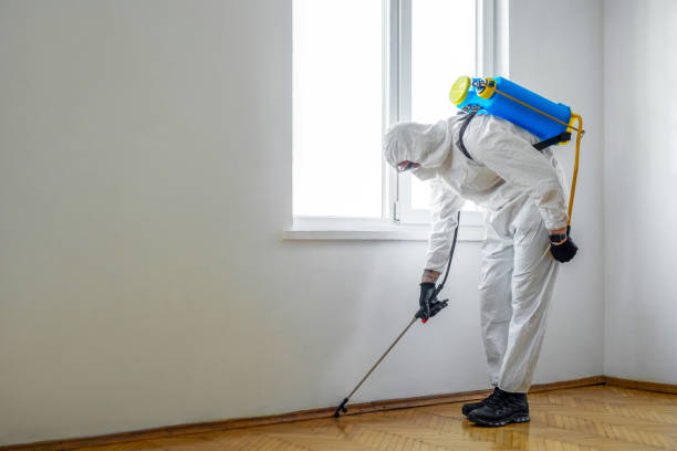 Best Pest Removal Services  in Vinings, GA