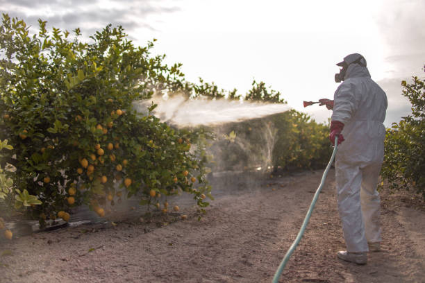 Best Local Pest Control Services  in Vinings, GA
