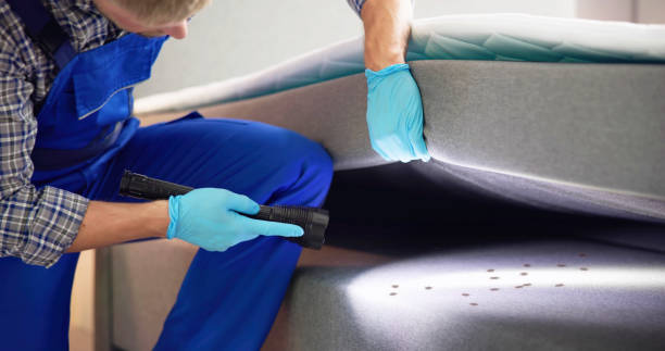 Best Pest Removal Services  in Vinings, GA