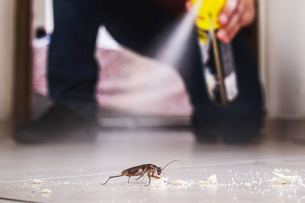Best Best Pest Control Companies  in Vinings, GA