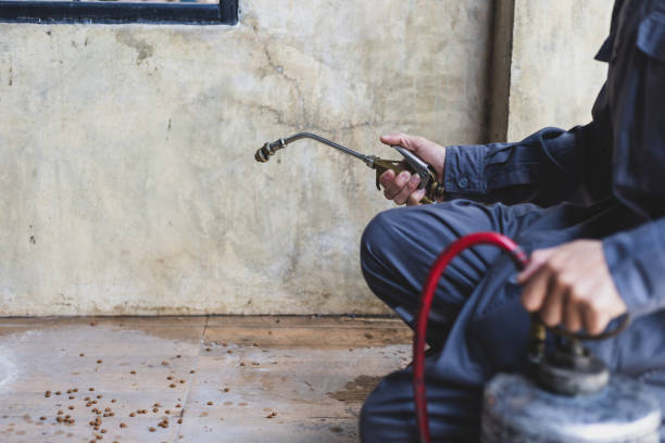 Best Termite Control Services  in Vinings, GA