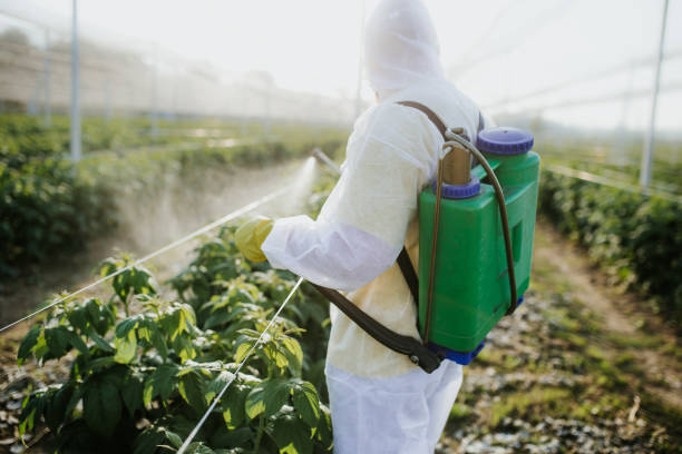 Best Pest Prevention Services  in Vinings, GA